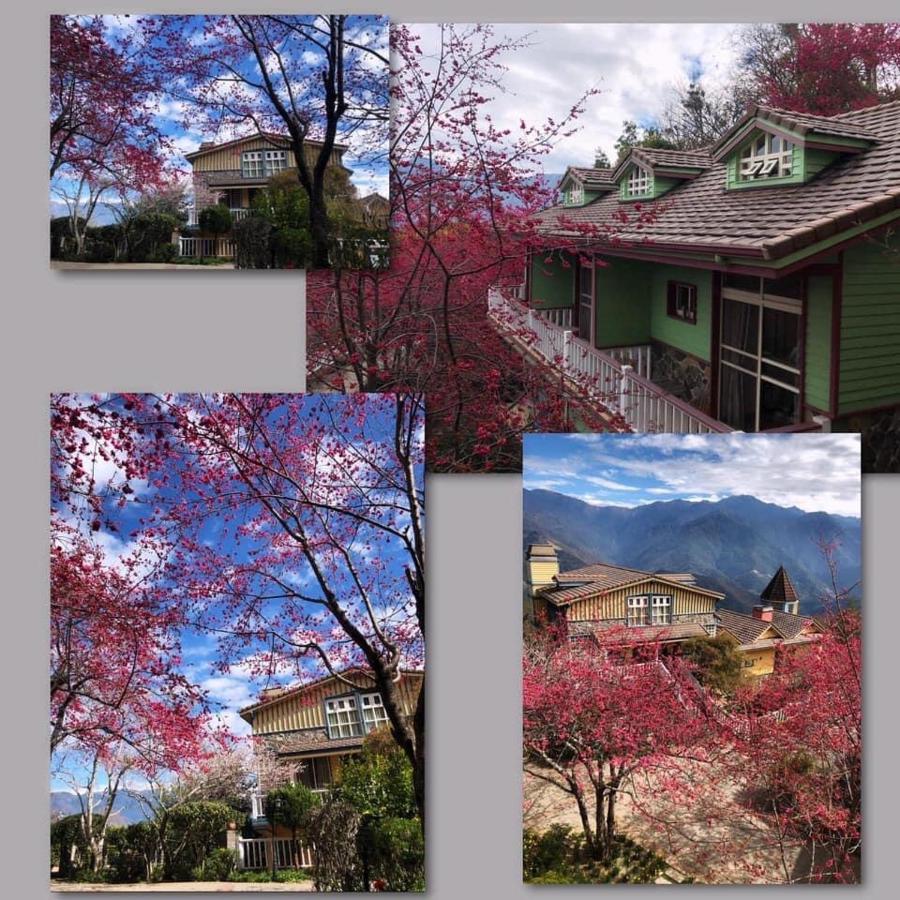 Dream Forest Villa Renai Exterior photo