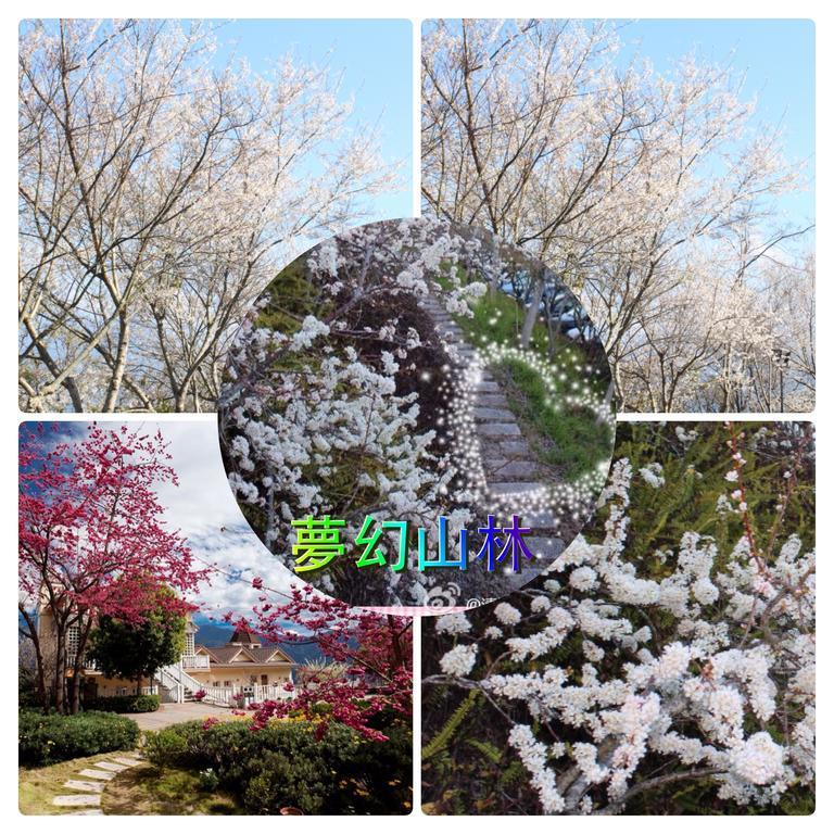 Dream Forest Villa Renai Exterior photo